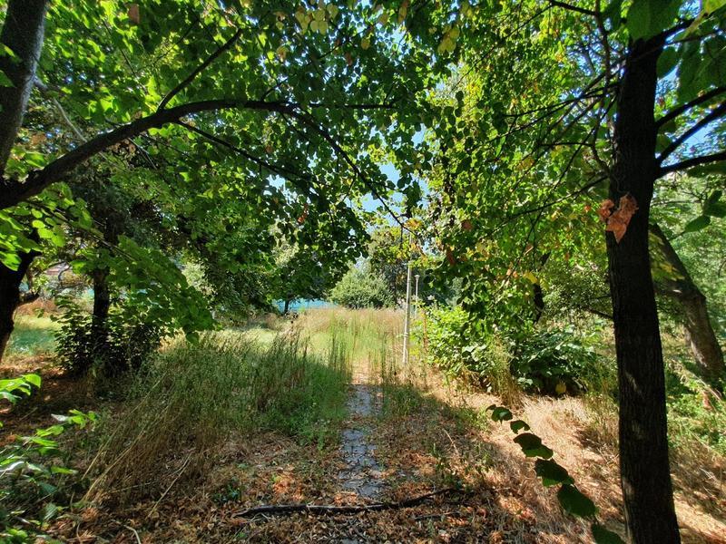 Un parc din Sectorul 3, în pericol de a fi înlocuit cu o clădire comercială